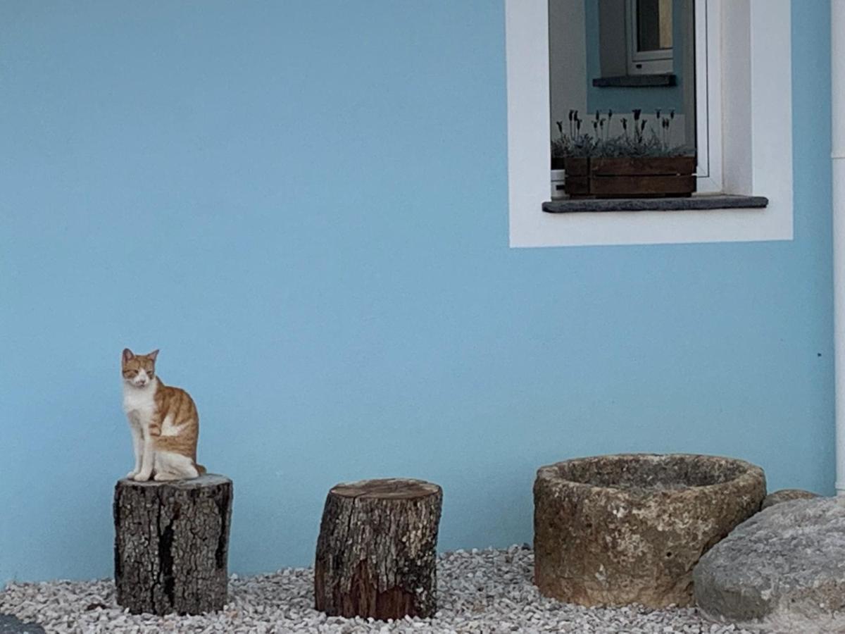 Monte Clerigo Casas De Campo อัลโมโดวาร์ ภายนอก รูปภาพ